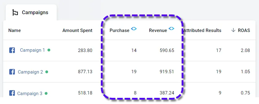 Columns with the AnyTrack icon show actual conversion data from integrations.